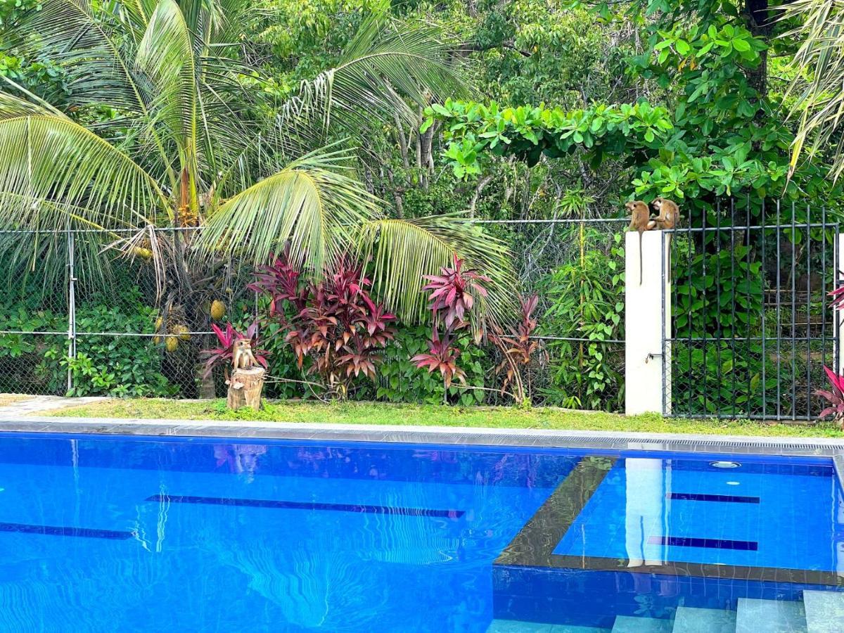 Riverside Cabanas Mirissa Exterior photo